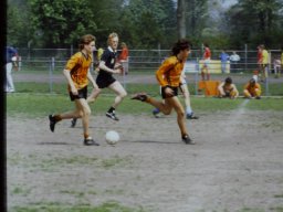 0DIA 1988 RAVA B1